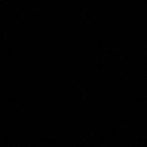 Meet your Posher, Jade